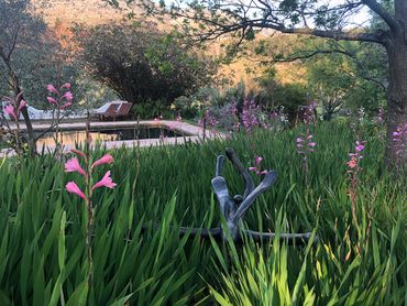 Stone sculptures and a natural pool at Wildekrans Guesthouse – night 3 and 4 of the Green Mountain hiking trail.