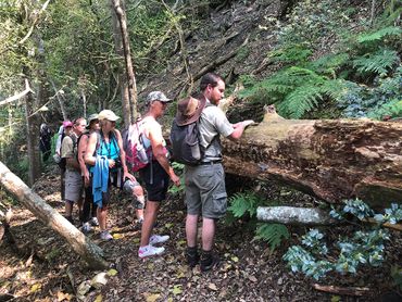 Learning about the fungi lifecycle on the Fynbos trail, near Standford, Western Cape.