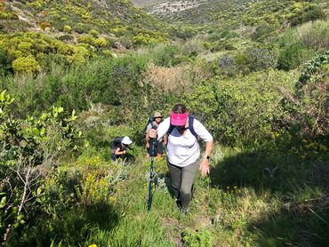 The final day of the Fynbos tail entails walking up the Baviaans Fontein valley through pockets of indigenous forests and dense fynbos-clad hills over onto Grootbos Nature Reserve.