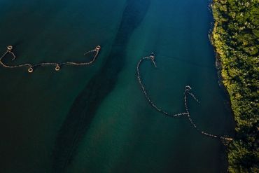 The fishtraps as viewed from above, look like an ancient tribal tattoo
