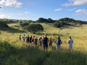 Golden afternoon light on the grasslands around Gugs camp. A beautiful walk back from the beach.