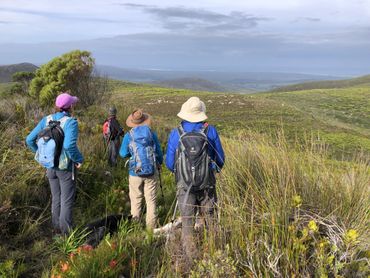 Views for miles on the new Diversity Hiking Trail