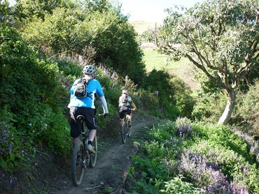 Flowing singletrack through forested valleys