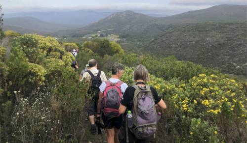 The Fynbos Trail – Overberg