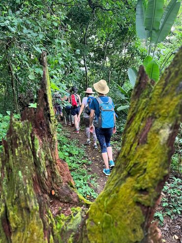The lush coastal forests surrounding Mtunzini town provide a vibrant, breathing greenbelt.