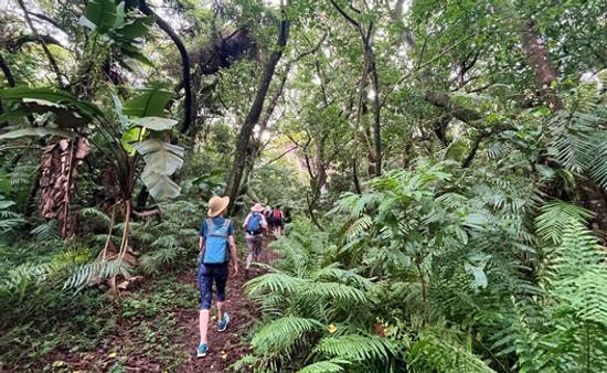 Roving Zululand Shores