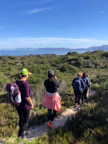 On Day 3, the trail leads through coastal fynbos with magnificent views out across Walker Bay and Hermanus.