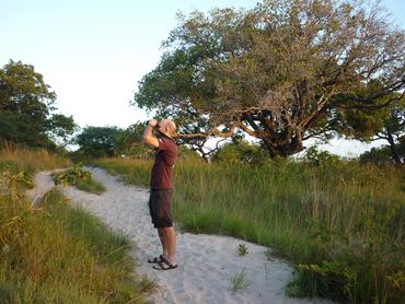 Birding around Kosi Bay lakes is world-class, with a few endemic species such as the Palm-nut Vulture.