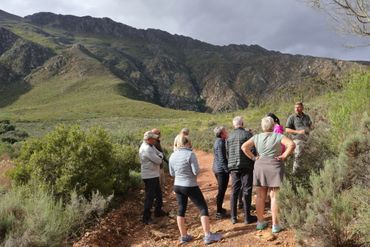 A mountain trail for those inclined, after the delicious artisan lunch prepared at Kleinhoekkloof.