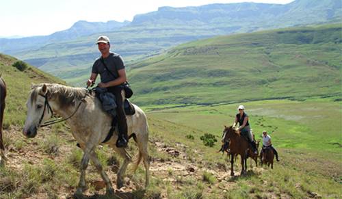 Northern Drak Horse Trails