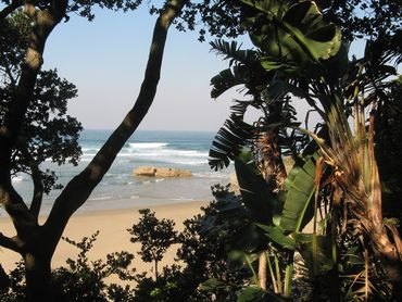 Subtropical forest frames deserted beaches.