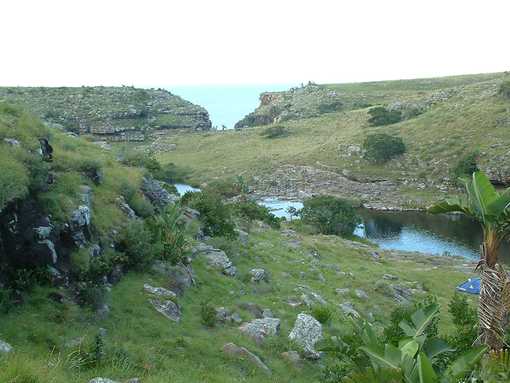 Pristine River Frontage