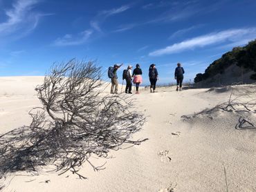 Crossing an expansive dune field to get down to the coast