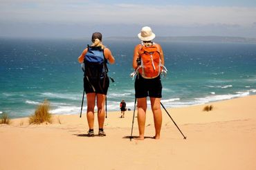 Golden dunes and aquamarine ocean on the Black Oyster Trail.