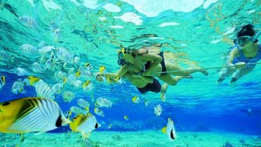 Enjoy some world-class snorkelling at Vidal after your Wilderness Trail.