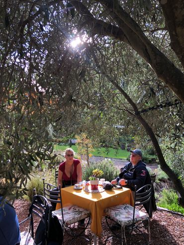 Morning coffee and cake at a local Lavendar Farm