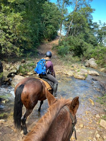 Fording valleys and streams on the Northern Berg Horse trail
