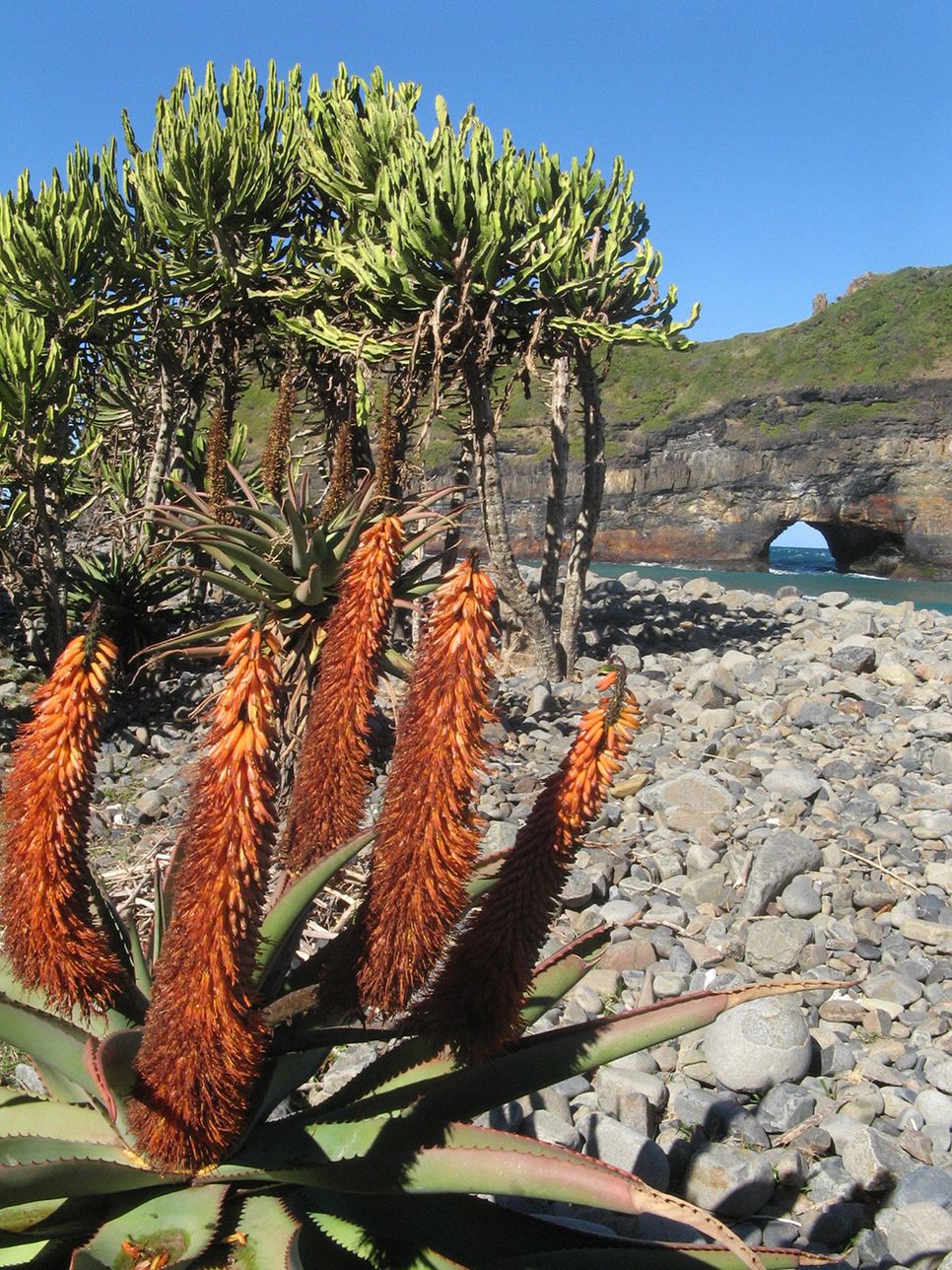 Coffee Bay to Bulungula Backpacking Trail