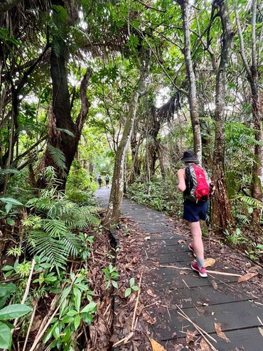 Giant Raphia Palms create a cathedral-like atmosphere, as you stroll along wooden walkways.