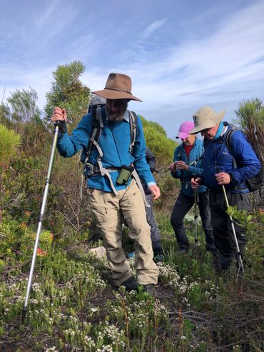 Numerous stops along the way, allows one to catch your breath and learn about the fynbos