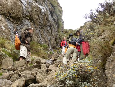 Up or down the gully is an alternative for those who don’t like the exposure of the chain-ladders. The guide will often take you up the chainladders and back down the gully.