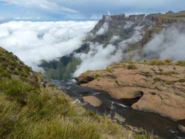 The view from the ‘roof of South Africa’ – Amphitheatre, Northern Berg.