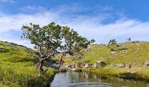 Pondo-Falls Hiking Trail