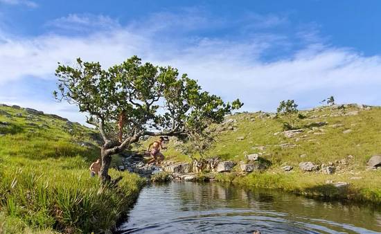 Pondo-Falls Hiking Trail