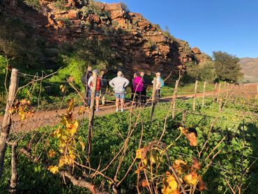 Learning about some of the flora biodiversity on Excelsior Farm