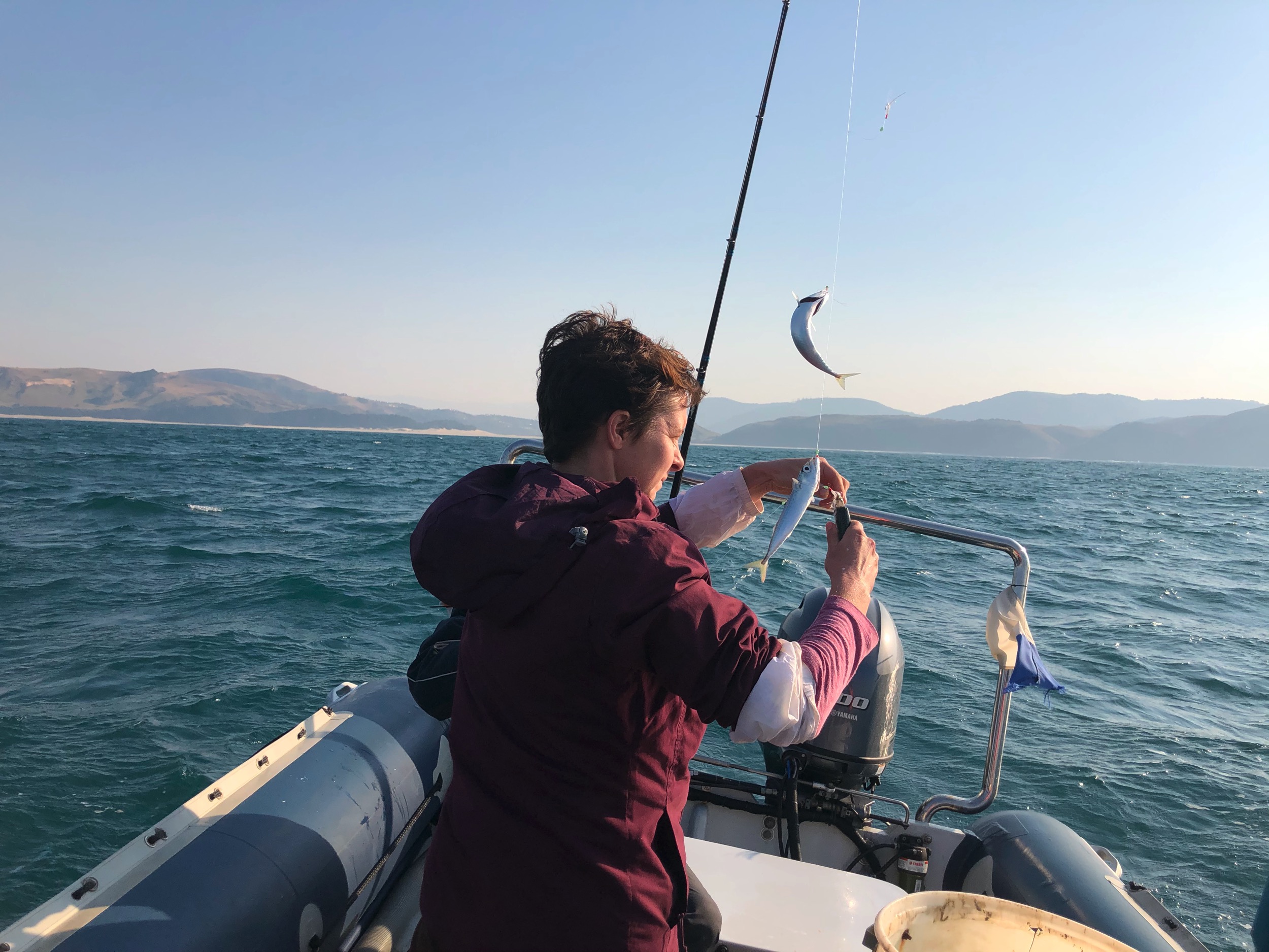 We even made ourselves useful, taking off the live mackeral, to be used as bait-fish