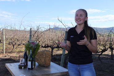 Learning about how the soil and unique climate influences these award-winning Lomond wines.
