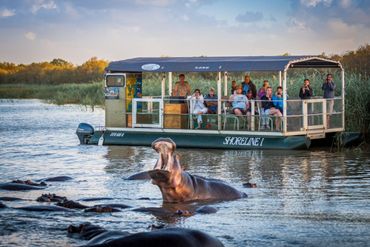This is as close as most tourists get, on the traditional St Lucia estuary cruise.
