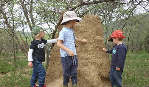 Tugela Bush Camp