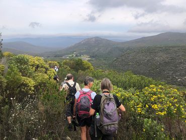 Overlooking flower valley – which was once a harvest area for wild fynbos species.