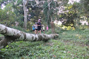 Some of the trail wanders through cool dune forest – a welcome reprieve.