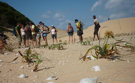 Turtle Tracks – Kosi to Mabibi
