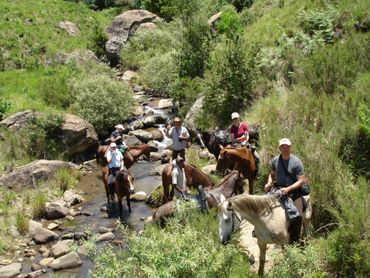 A stop at a mountain stream where both horses and riders can quench their thirst