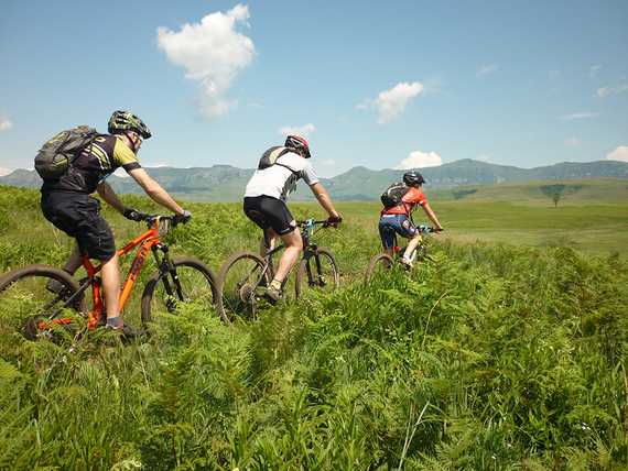 Singletrack in the Northern Berg valley