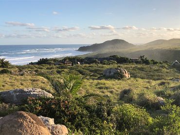 The grasslands surrounds of Mtentu. The headland is in Mkambathi Nature Reserve, on which the Mtentu River forms the southern boundary.