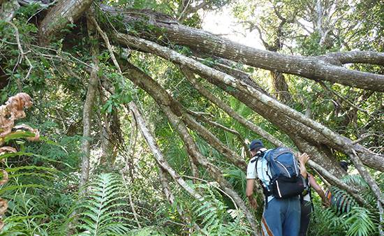 Kosi Bay Lakes Trail