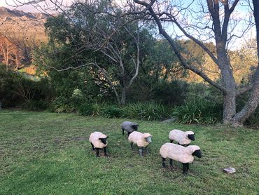 Prominent artists have their sculptures on display around the gardens of Wildekrans.