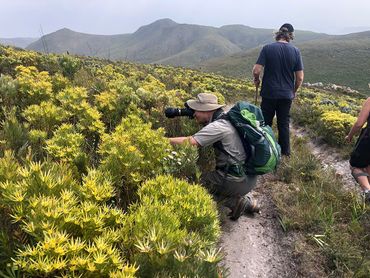 Flower Valley in full bloom – a photographers dream