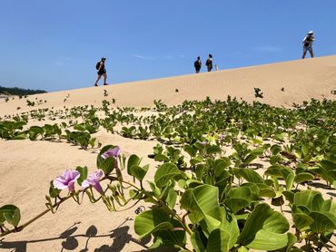 After hiking through the mangroves, one comes out at the Mlalazi estuary, to return by the beach.