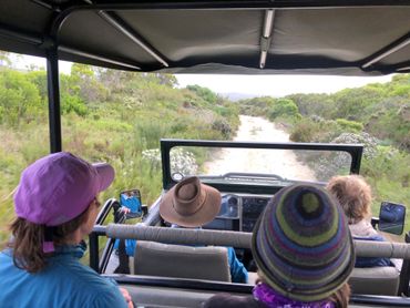 A scenic 4x4 drive back to your guesthouse, after the linger-longer wine tasting