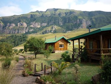 The log cabins of Drak Mountain Lodge