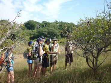 Learning about some of the medicinal properties of the trees on the Kosi Bay Lakes hike.