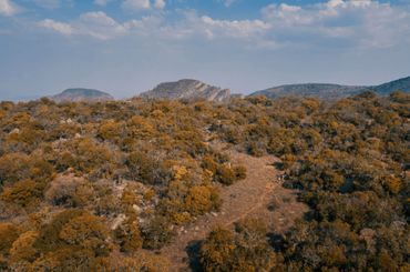 The Soutpansberg is renowned for it diverse geomorphology, vegetation biomes and fauna.