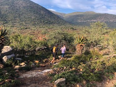 Animal paths provide a natural trail network, with a little bit of rock clearing from the trail blazers.