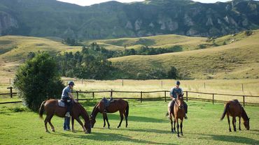 Nestled under the sandstone cap of the little berg, these horses enjoy green pastures
