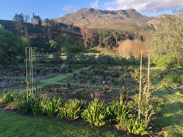 From garden to plate: meals are organic, local and delicious.